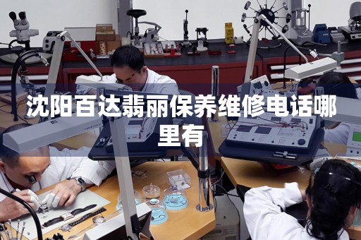 沈陽(yáng)百達(dá)翡麗保養(yǎng)維修電話(huà)哪里有