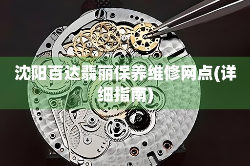 沈陽百達(dá)翡麗保養(yǎng)維修網(wǎng)點(diǎn)(詳細(xì)指南)
