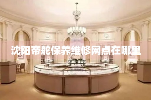 沈陽帝舵保養(yǎng)維修網(wǎng)點在哪里