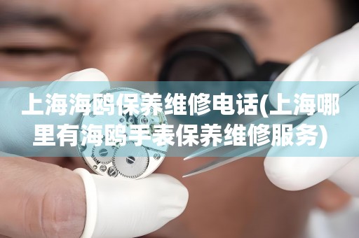 上海海鷗保養(yǎng)維修電話(上海哪里有海鷗手表保養(yǎng)維修服務)