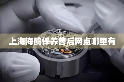 上海海鷗保養(yǎng)售后網(wǎng)點哪里有