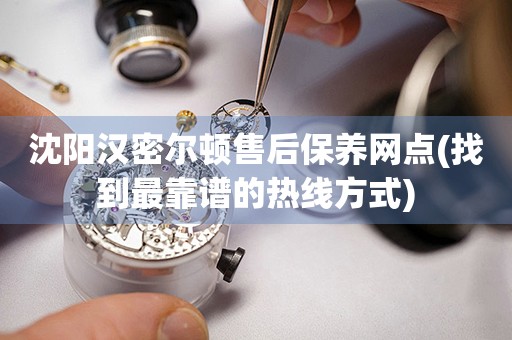沈陽(yáng)漢密爾頓售后保養(yǎng)網(wǎng)點(diǎn)(找到最靠譜的熱線方式)
