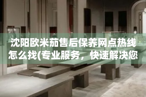 沈陽(yáng)歐米茄售后保養(yǎng)網(wǎng)點(diǎn)熱線怎么找(專業(yè)服務(wù)，快速解決您的問(wèn)題)