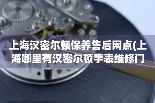 上海漢密爾頓保養(yǎng)售后網(wǎng)點(diǎn)(上海哪里有漢密爾頓手表維修門店)