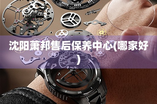 沈陽蕭邦售后保養(yǎng)中心(哪家好)