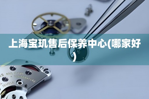 上海寶璣售后保養(yǎng)中心(哪家好)