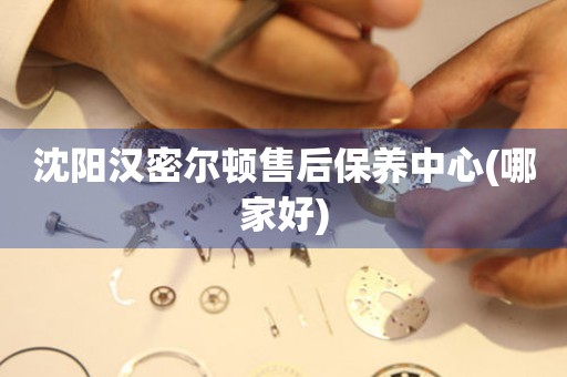 沈陽漢密爾頓售后保養(yǎng)中心(哪家好)