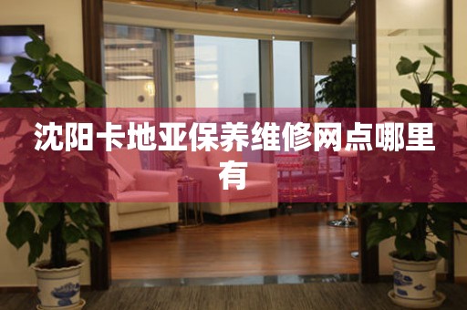 沈陽(yáng)卡地亞保養(yǎng)維修網(wǎng)點(diǎn)哪里有