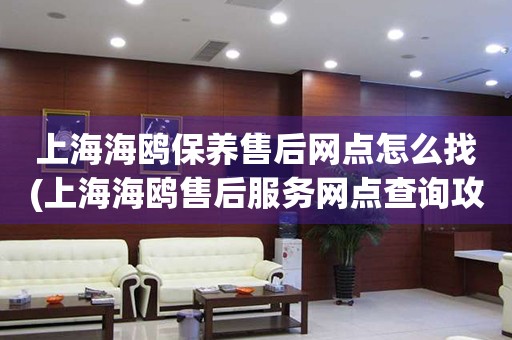 上海海鷗保養(yǎng)售后網(wǎng)點(diǎn)怎么找(上海海鷗售后服務(wù)網(wǎng)點(diǎn)查詢攻略)