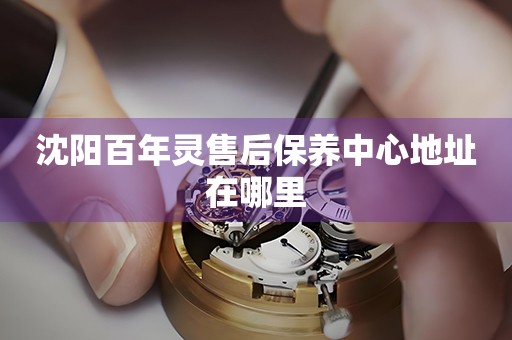 沈陽(yáng)百年靈售后保養(yǎng)中心地址在哪里