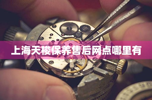 上海天梭保養(yǎng)售后網(wǎng)點(diǎn)哪里有