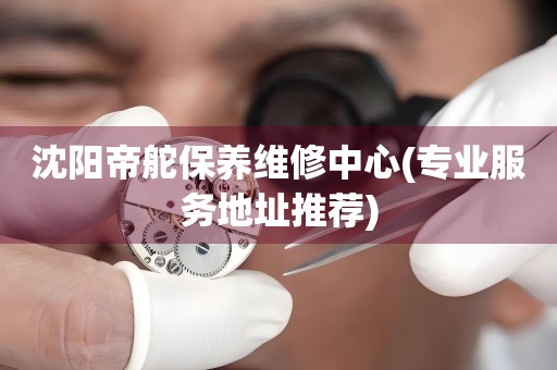 沈陽(yáng)帝舵保養(yǎng)維修中心(專業(yè)服務(wù)地址推薦)