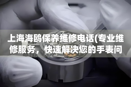 上海海鷗保養(yǎng)維修電話(專業(yè)維修服務(wù)，快速解決您的手表問題)
