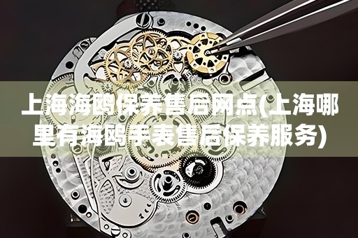 上海海鷗保養(yǎng)售后網(wǎng)點(上海哪里有海鷗手表售后保養(yǎng)服務(wù))