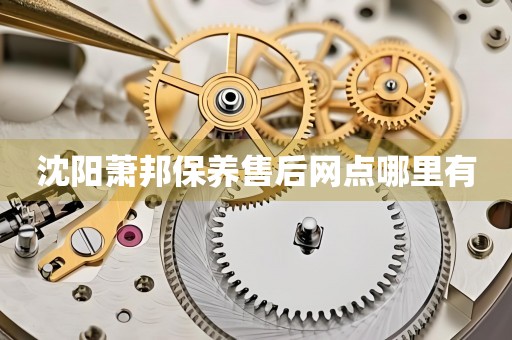 沈陽蕭邦保養(yǎng)售后網(wǎng)點哪里有