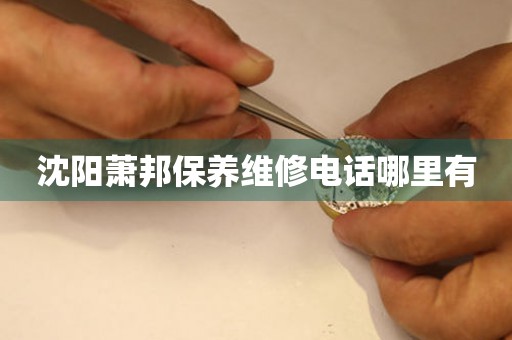沈陽蕭邦保養(yǎng)維修電話哪里有