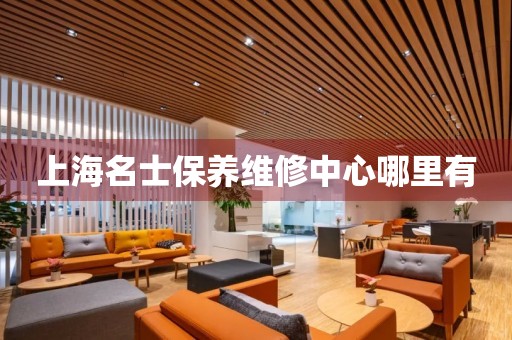 上海名士保養(yǎng)維修中心哪里有