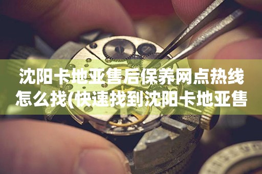 沈陽卡地亞售后保養(yǎng)網(wǎng)點熱線怎么找(快速找到沈陽卡地亞售后保養(yǎng)網(wǎng)點的方法)