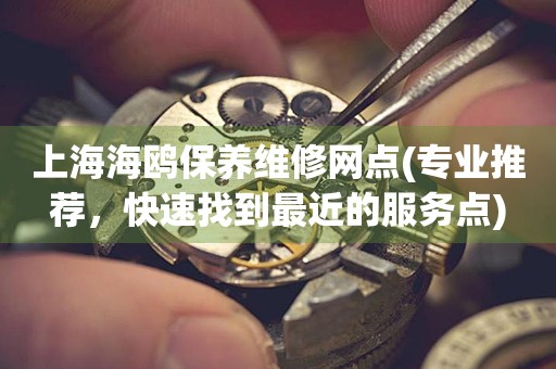 上海海鷗保養(yǎng)維修網(wǎng)點(專業(yè)推薦，快速找到最近的服務(wù)點)