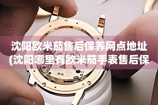 沈陽歐米茄售后保養(yǎng)網(wǎng)點地址(沈陽哪里有歐米茄手表售后保養(yǎng)網(wǎng)點)