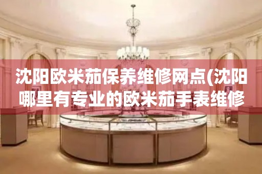 沈陽(yáng)歐米茄保養(yǎng)維修網(wǎng)點(diǎn)(沈陽(yáng)哪里有專業(yè)的歐米茄手表維修店)