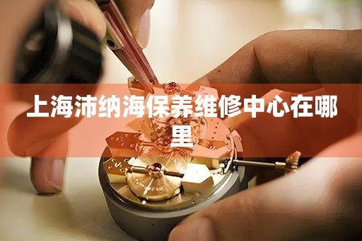 上海沛納海保養(yǎng)維修中心在哪里