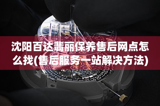 沈陽百達(dá)翡麗保養(yǎng)售后網(wǎng)點(diǎn)怎么找(售后服務(wù)一站解決方法)