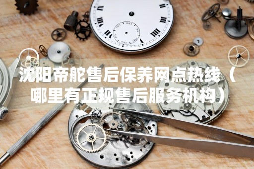 沈陽帝舵售后保養(yǎng)網(wǎng)點(diǎn)熱線（哪里有正規(guī)售后服務(wù)機(jī)構(gòu)）