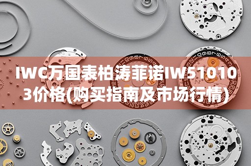 IWC萬(wàn)國(guó)表柏濤菲諾IW510103價(jià)格(購(gòu)買指南及市場(chǎng)行情)