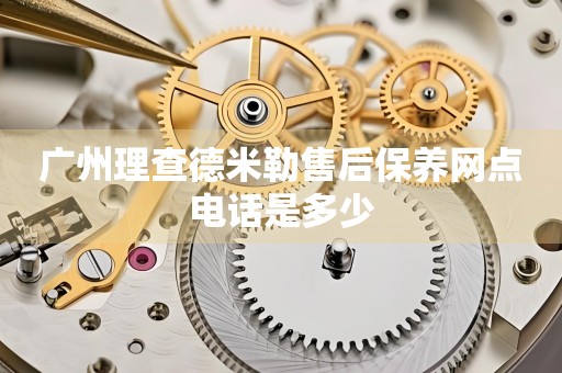廣州理查德米勒售后保養(yǎng)網(wǎng)點(diǎn)電話是多少