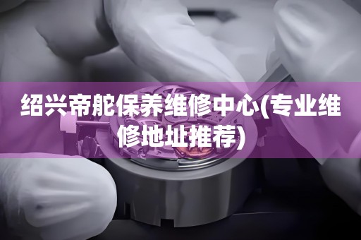 紹興帝舵保養(yǎng)維修中心(專業(yè)維修地址推薦)