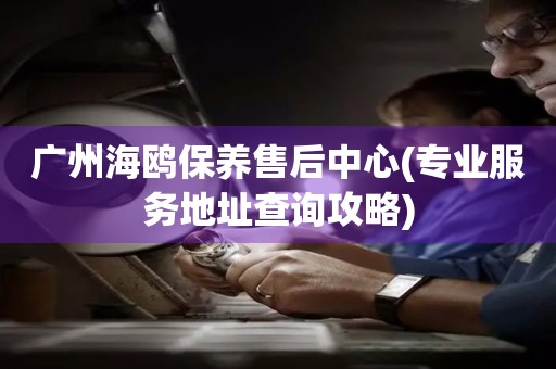 廣州海鷗保養(yǎng)售后中心(專業(yè)服務(wù)地址查詢攻略)