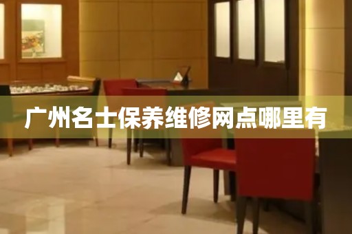 廣州名士保養(yǎng)維修網(wǎng)點(diǎn)哪里有