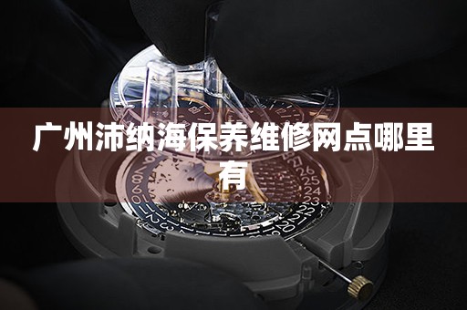 廣州沛納海保養(yǎng)維修網(wǎng)點哪里有