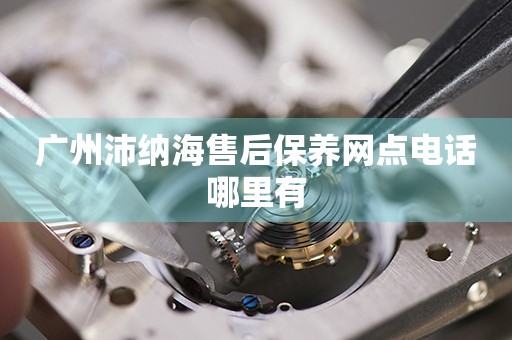 廣州沛納海售后保養(yǎng)網(wǎng)點電話哪里有