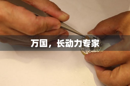 萬國，長動力專家