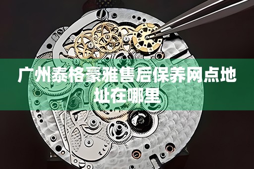 廣州泰格豪雅售后保養(yǎng)網(wǎng)點(diǎn)地址在哪里