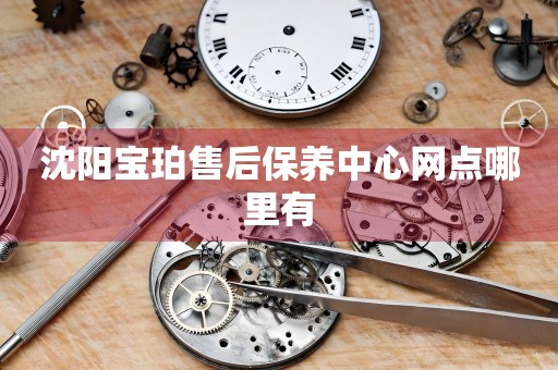沈陽寶珀售后保養(yǎng)中心網(wǎng)點(diǎn)哪里有