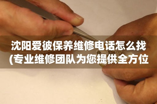 沈陽愛彼保養(yǎng)維修電話怎么找(專業(yè)維修團(tuán)隊(duì)為您提供全方位服務(wù))