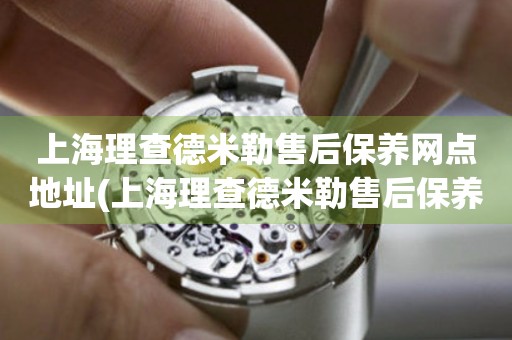 上海理查德米勒售后保養(yǎng)網(wǎng)點地址(上海理查德米勒售后保養(yǎng)網(wǎng)點地址查詢及服務指南)