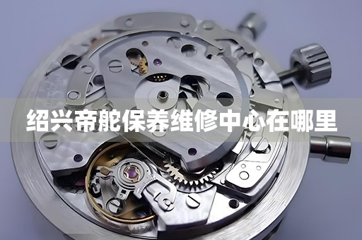 紹興帝舵保養(yǎng)維修中心在哪里