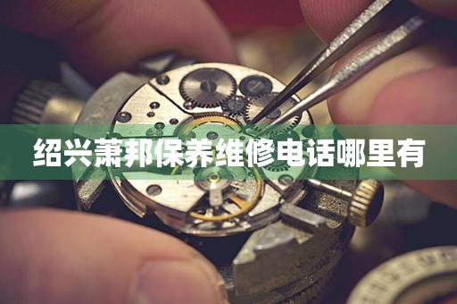 紹興蕭邦保養(yǎng)維修電話哪里有