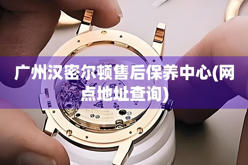 廣州漢密爾頓售后保養(yǎng)中心(網(wǎng)點(diǎn)地址查詢)