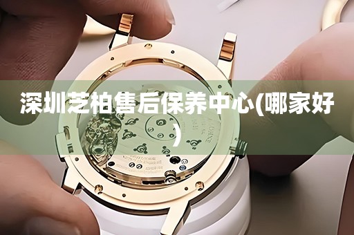 深圳芝柏售后保養(yǎng)中心(哪家好)