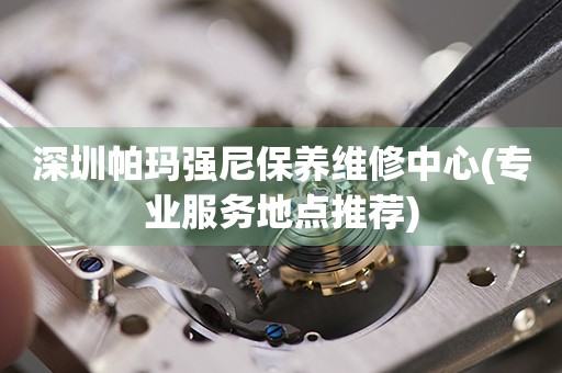 深圳帕瑪強尼保養(yǎng)維修中心(專業(yè)服務地點推薦)
