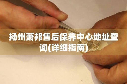 揚(yáng)州蕭邦售后保養(yǎng)中心地址查詢(詳細(xì)指南)