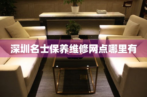 深圳名士保養(yǎng)維修網(wǎng)點(diǎn)哪里有