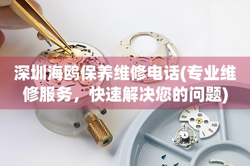 深圳海鷗保養(yǎng)維修電話(專業(yè)維修服務(wù)，快速解決您的問(wèn)題)