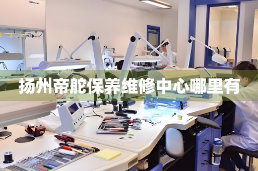 揚(yáng)州帝舵保養(yǎng)維修中心哪里有