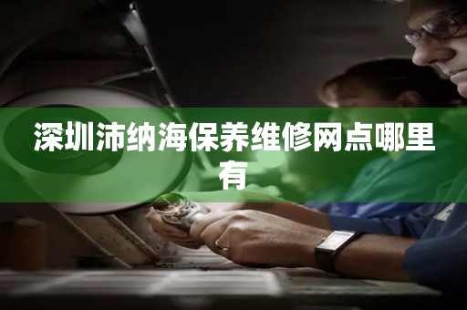 深圳沛納海保養(yǎng)維修網(wǎng)點(diǎn)哪里有